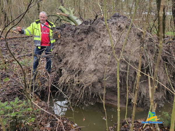 nightwalk fuer frauen 2026 600 450