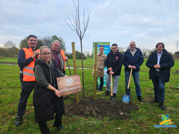 umweltpreis baum 2025 600x450
